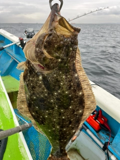 ヒラメの釣果