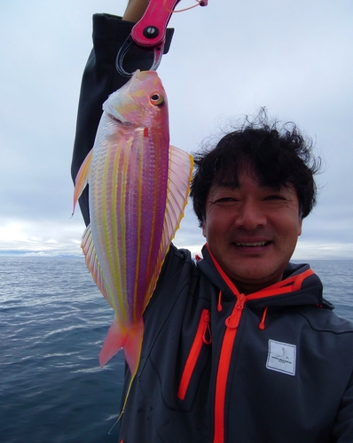 イトヨリダイの釣果