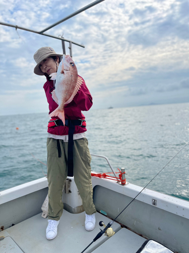 マダイの釣果