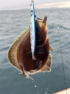 ソウハチの釣果