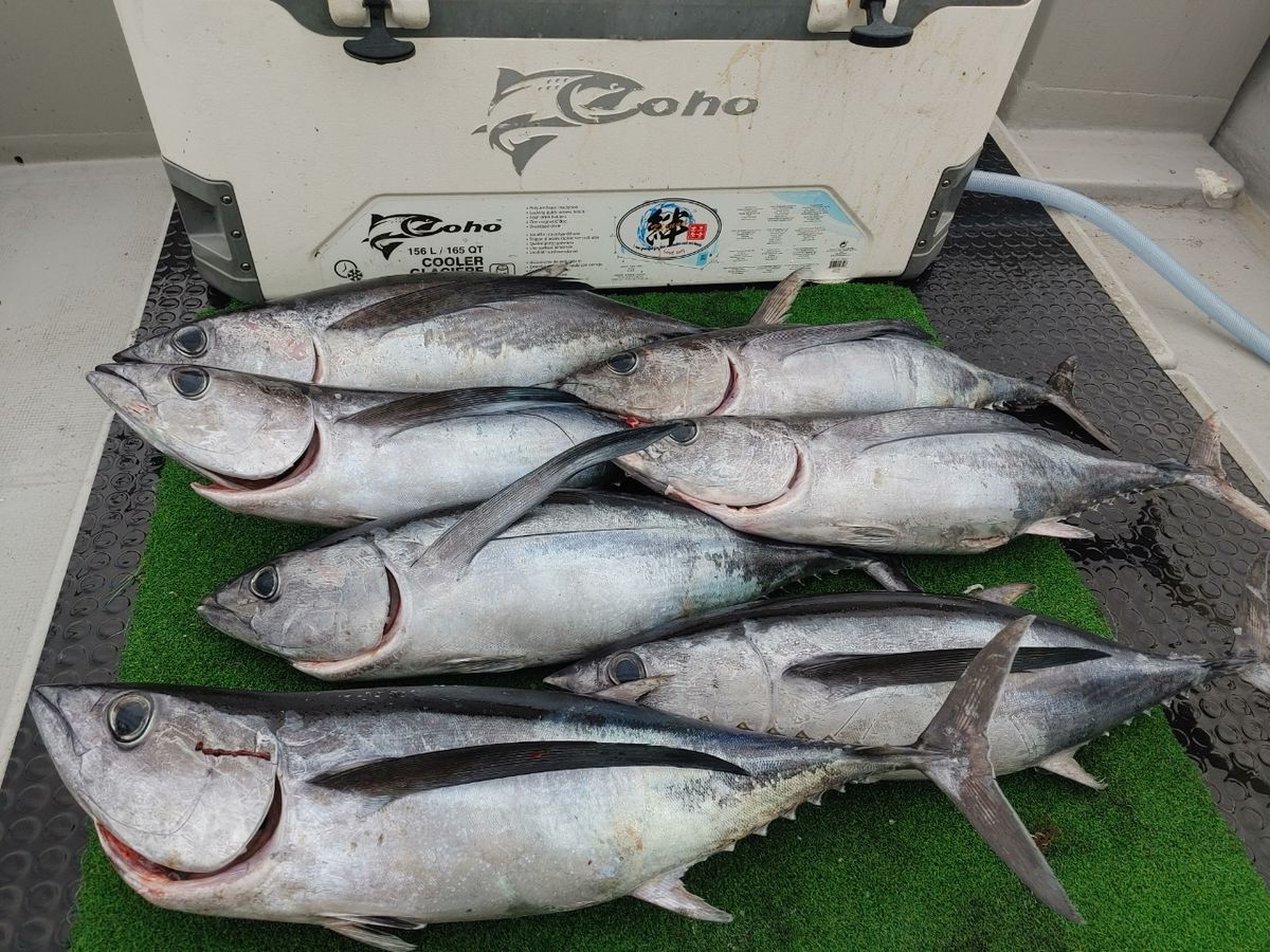 三重県ジギング船　絆さんの釣果 2枚目の画像