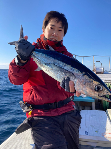 ビンチョウマグロの釣果