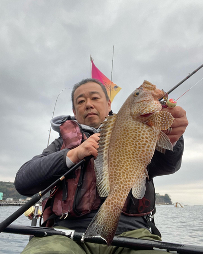 オオモンハタの釣果