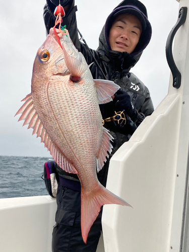 タイの釣果