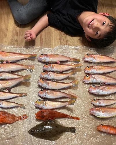 アマダイの釣果