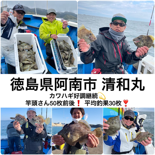 カワハギの釣果