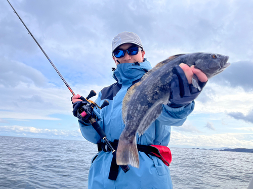 アイナメの釣果