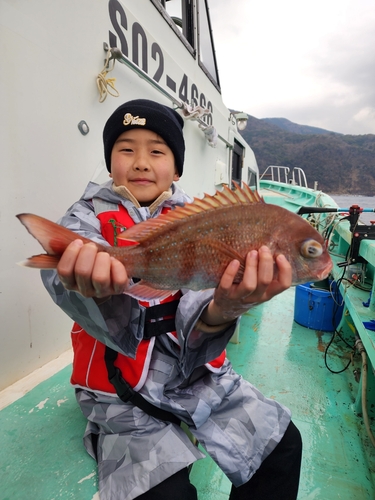 マダイの釣果