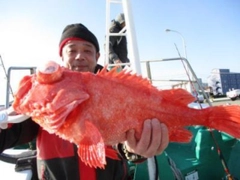 アコウダイの釣果