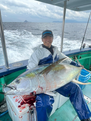 キハダマグロの釣果