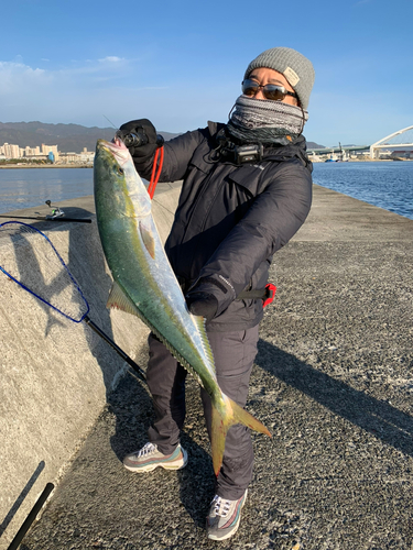 メジロの釣果