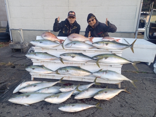 ブリの釣果