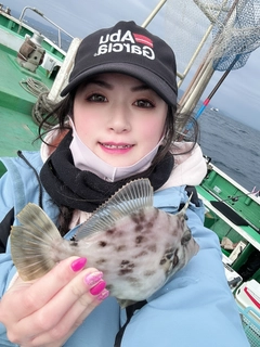 カワハギの釣果