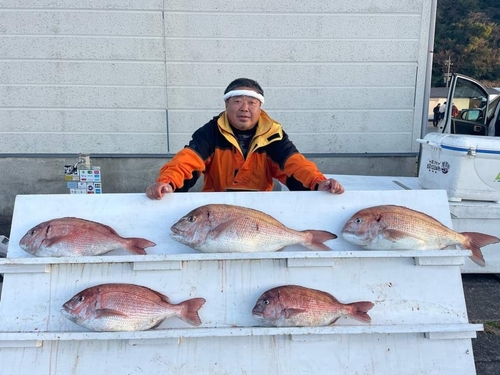 マダイの釣果