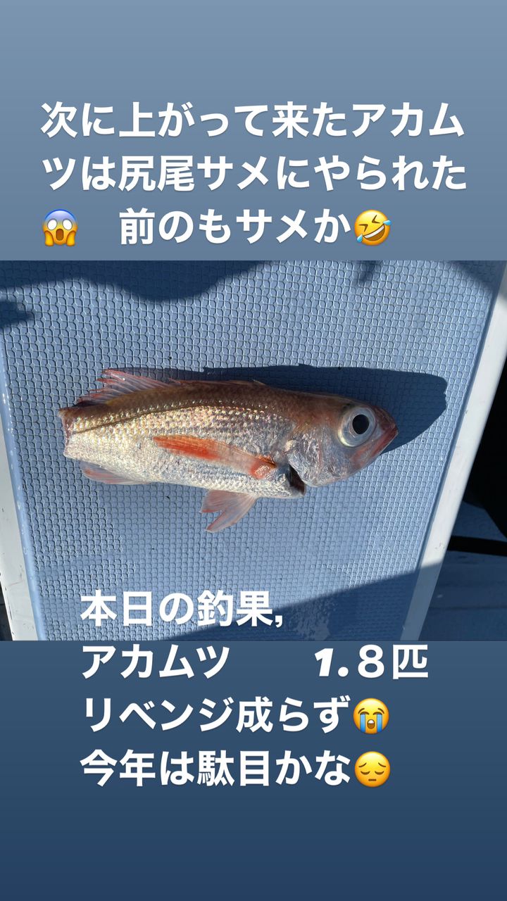 釣りキチ爺さんスーさんの釣果 2枚目の画像