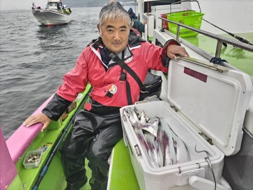 イワシの釣果