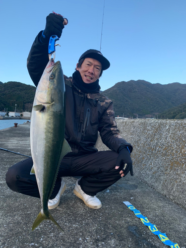 ブリの釣果