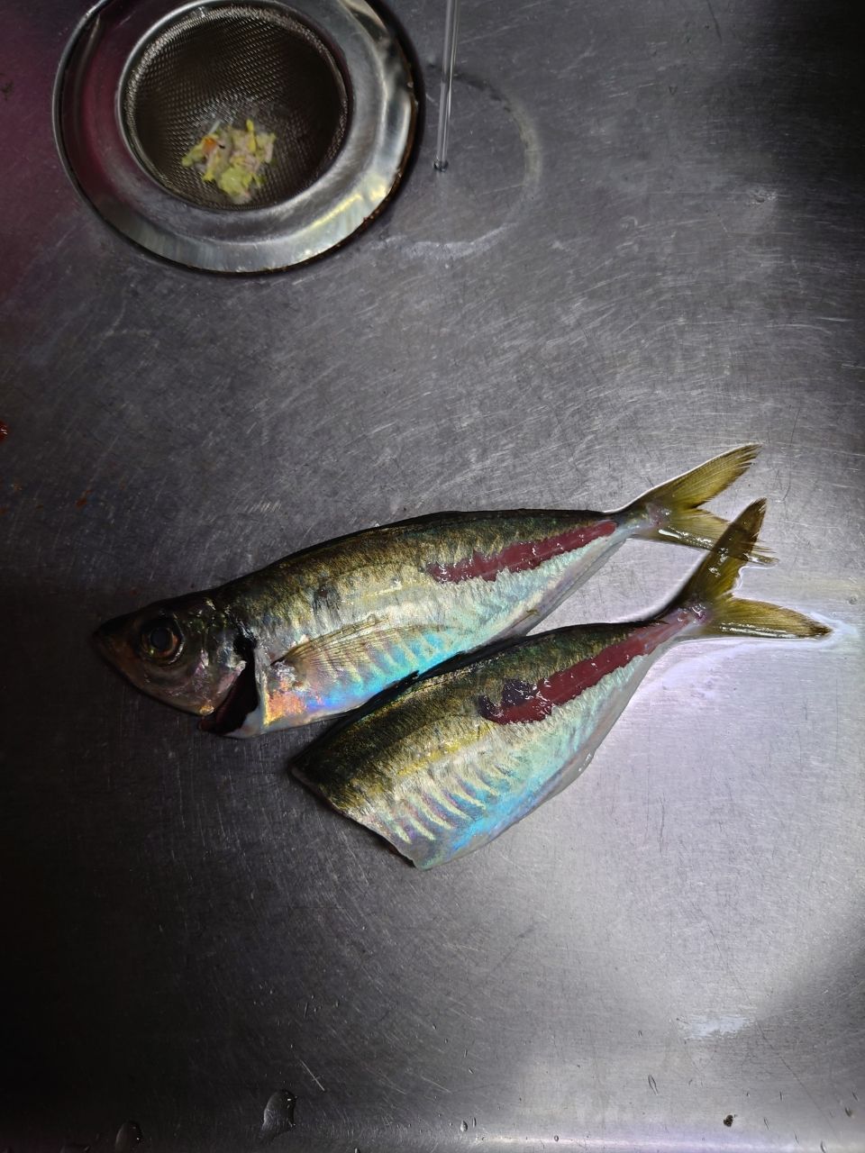 アジ