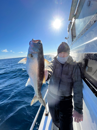 クロムツの釣果