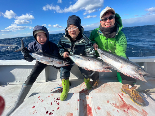 ビンチョウマグロの釣果