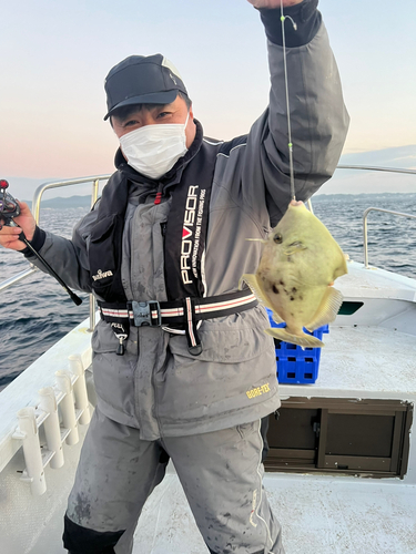 カワハギの釣果