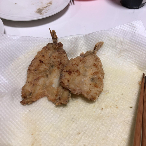 チカの釣果