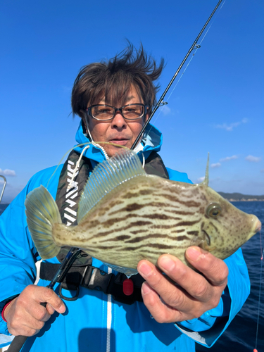 カワハギの釣果