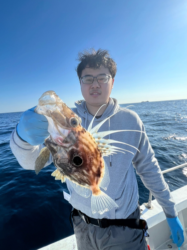 マトウダイの釣果