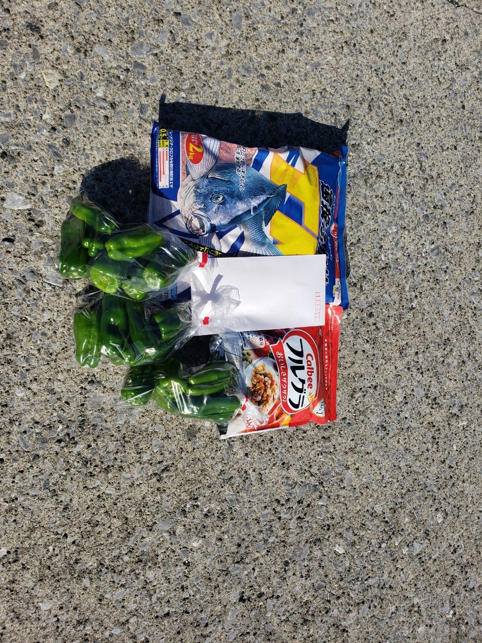 なかそねさんの釣果 2枚目の画像