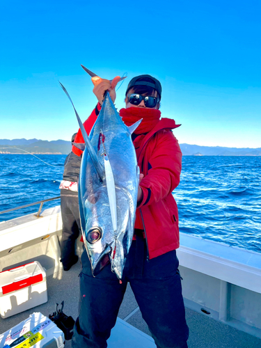 ビンチョウマグロの釣果