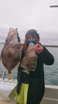 マトウダイの釣果