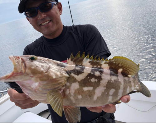 アラの釣果