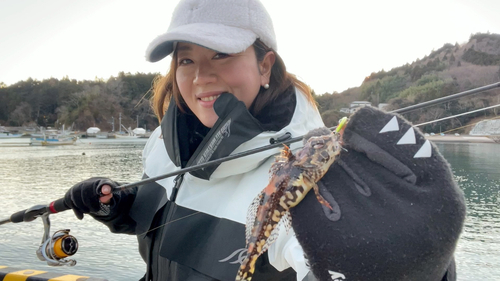 アナハゼの釣果