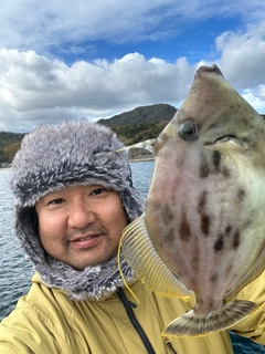 カワハギの釣果