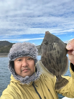 カワハギの釣果