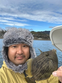 カワハギの釣果