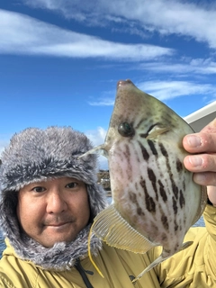 カワハギの釣果