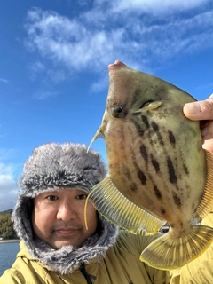 カワハギの釣果