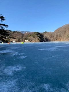 ワカサギの釣果