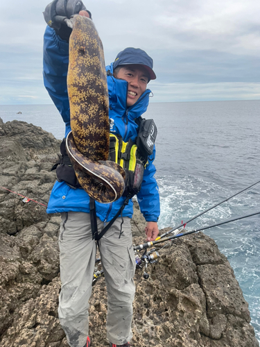 ウツボの釣果