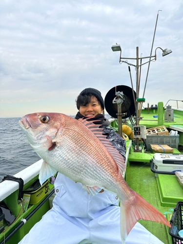 マアジの釣果