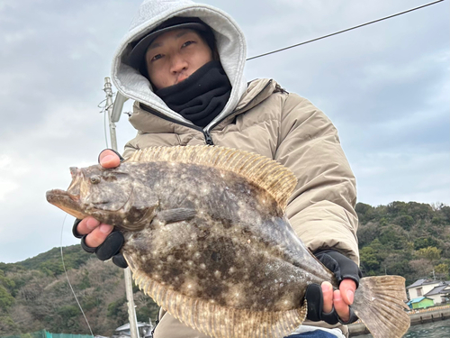 ヒラメの釣果