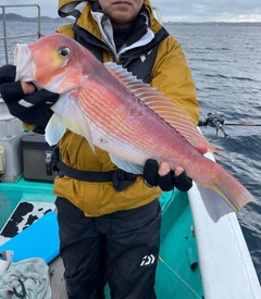 アマダイの釣果