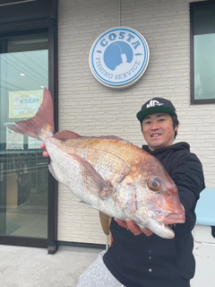 マダイの釣果