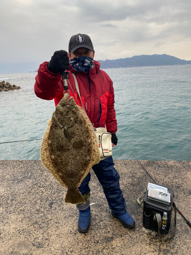 ヒラメの釣果