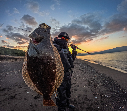 ヒラメの釣果