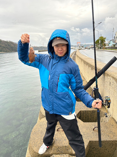 オオモンハタの釣果