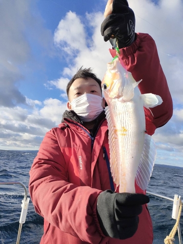 アマダイの釣果