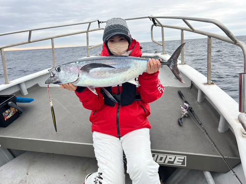 ビンチョウマグロの釣果