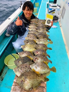 カワハギの釣果